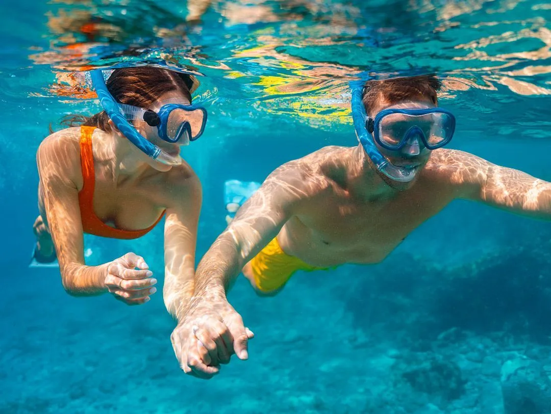 A beautiful underwater world awaits you | Beach Palace